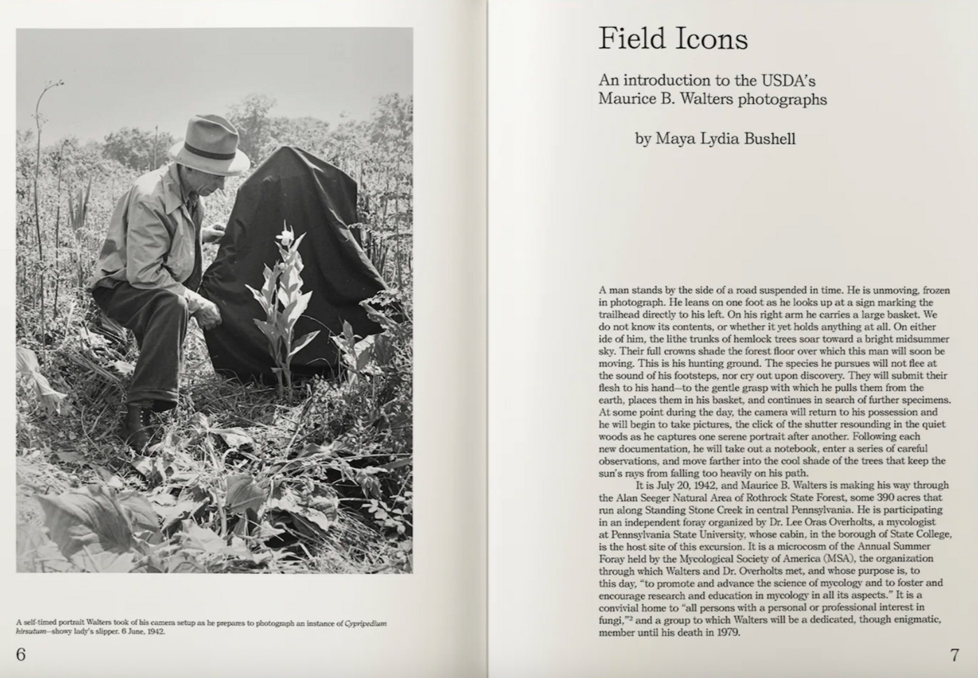 An Illustrated Catalog of American Mushrooms}