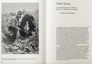 An Illustrated Catalog of American Mushrooms}