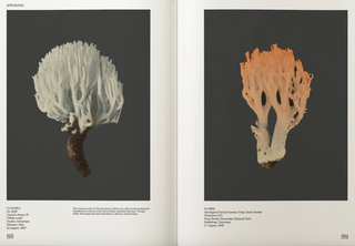 An Illustrated Catalog of American Mushrooms}