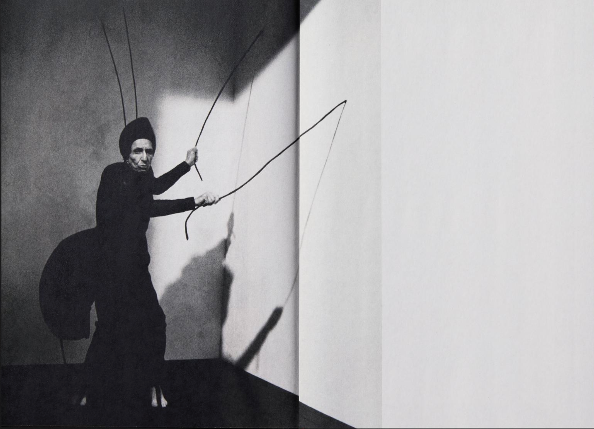 Jack Davison: A is for Ant Children's Edition}