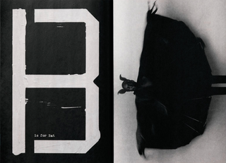 Jack Davison: A is for Ant Children's Edition}