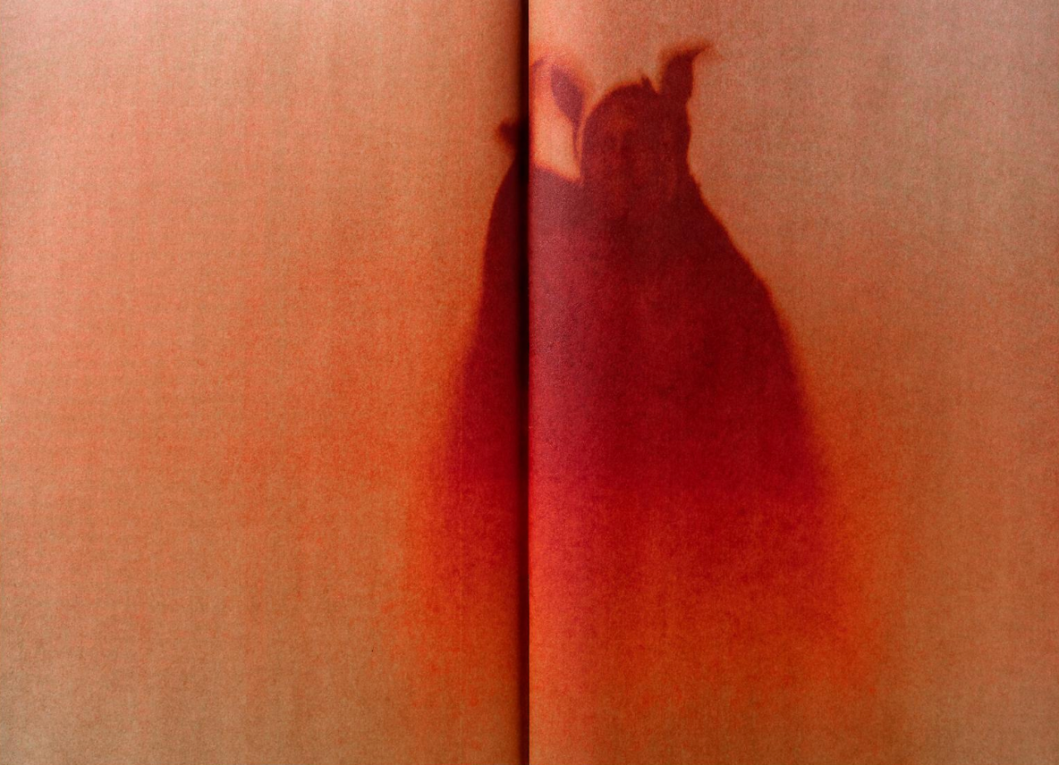 Jack Davison: A is for Ant Children's Edition}