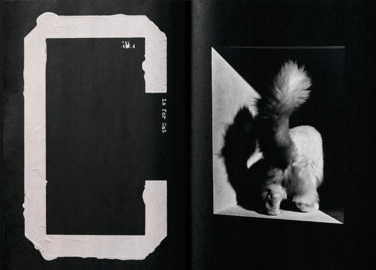 Jack Davison: A is for Ant Children's Edition}
