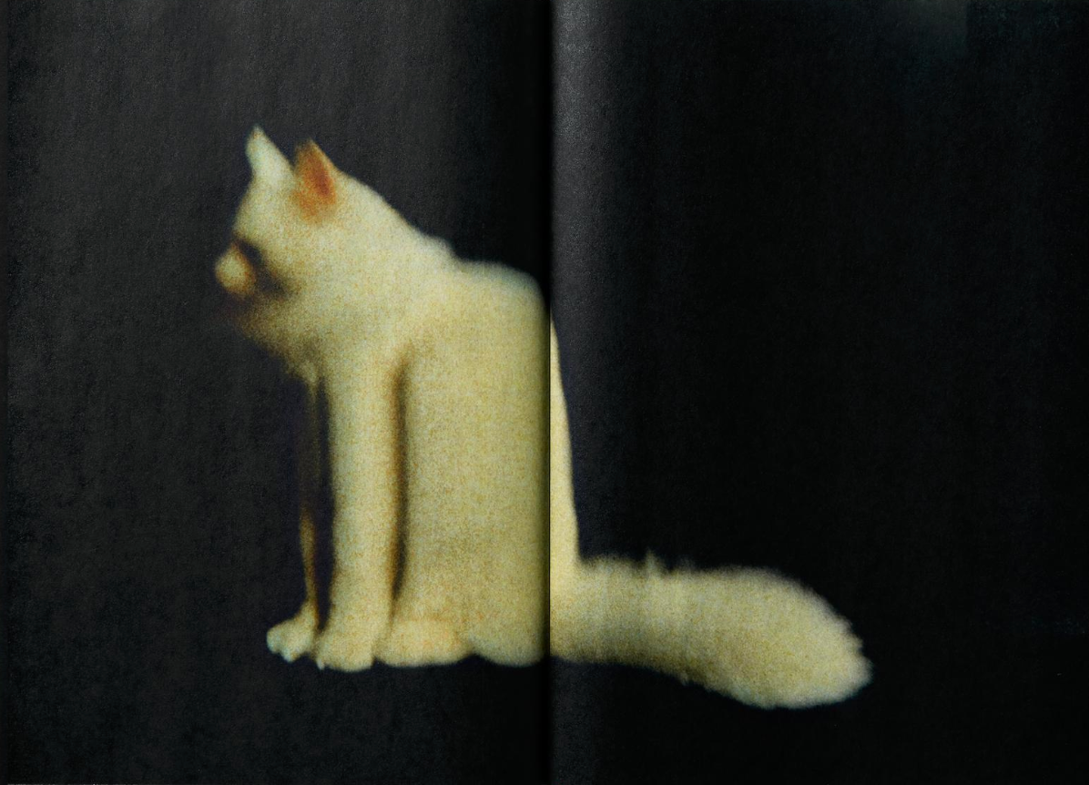 Jack Davison: A is for Ant Children's Edition}