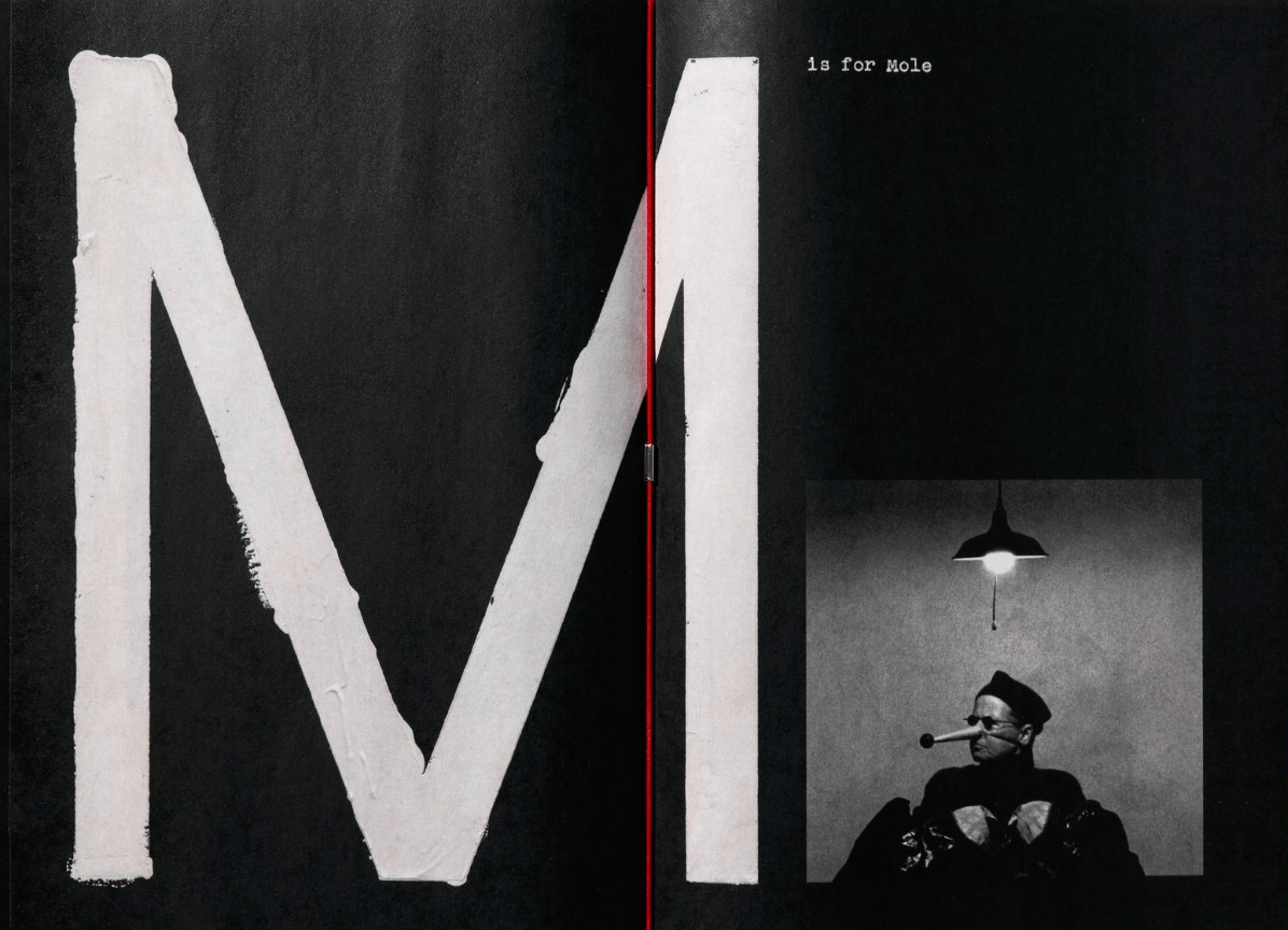 Jack Davison: A is for Ant Children's Edition}