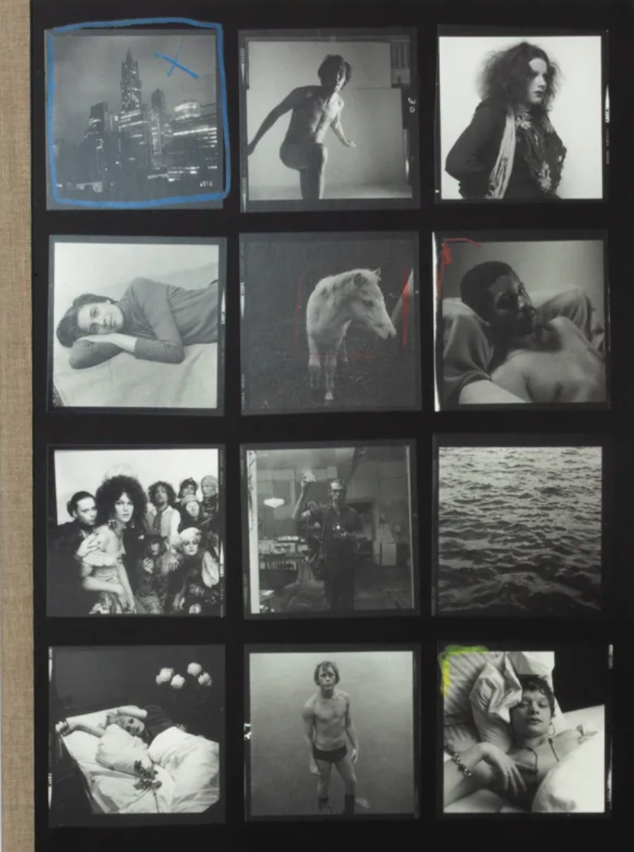 Hujar:Contact}