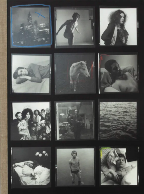 Hujar:Contact