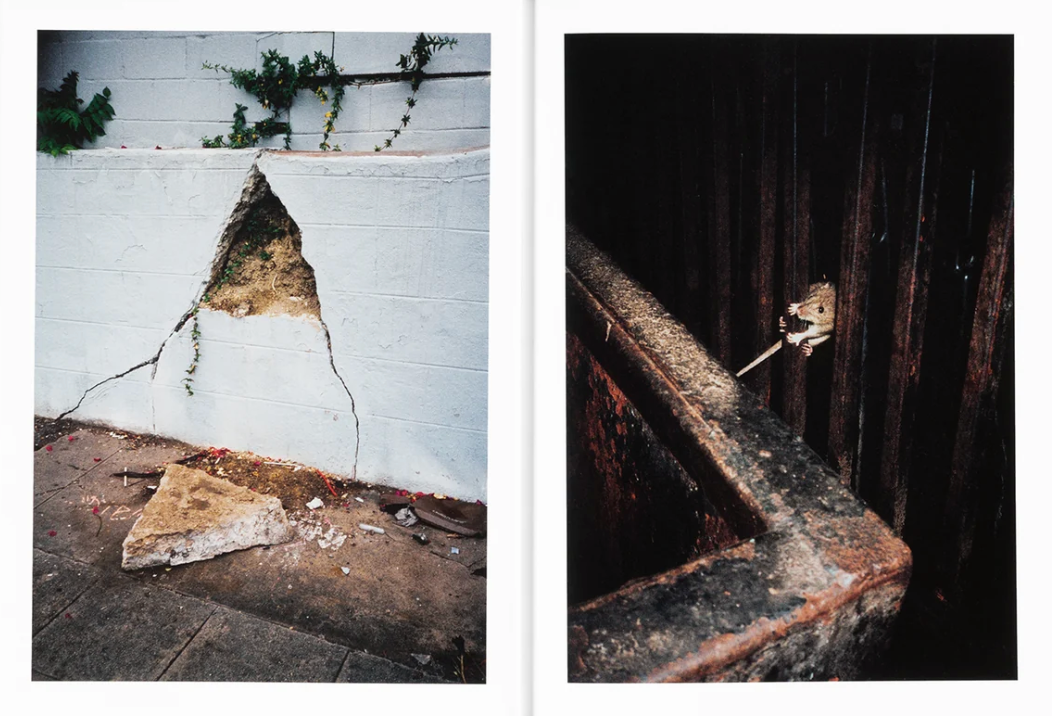 How About Never by Jerry Hsu}