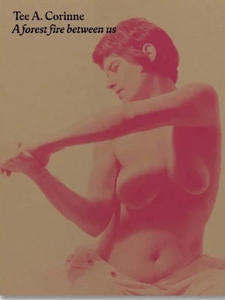 A Forest Fire Between Us by Tee A. Corinne