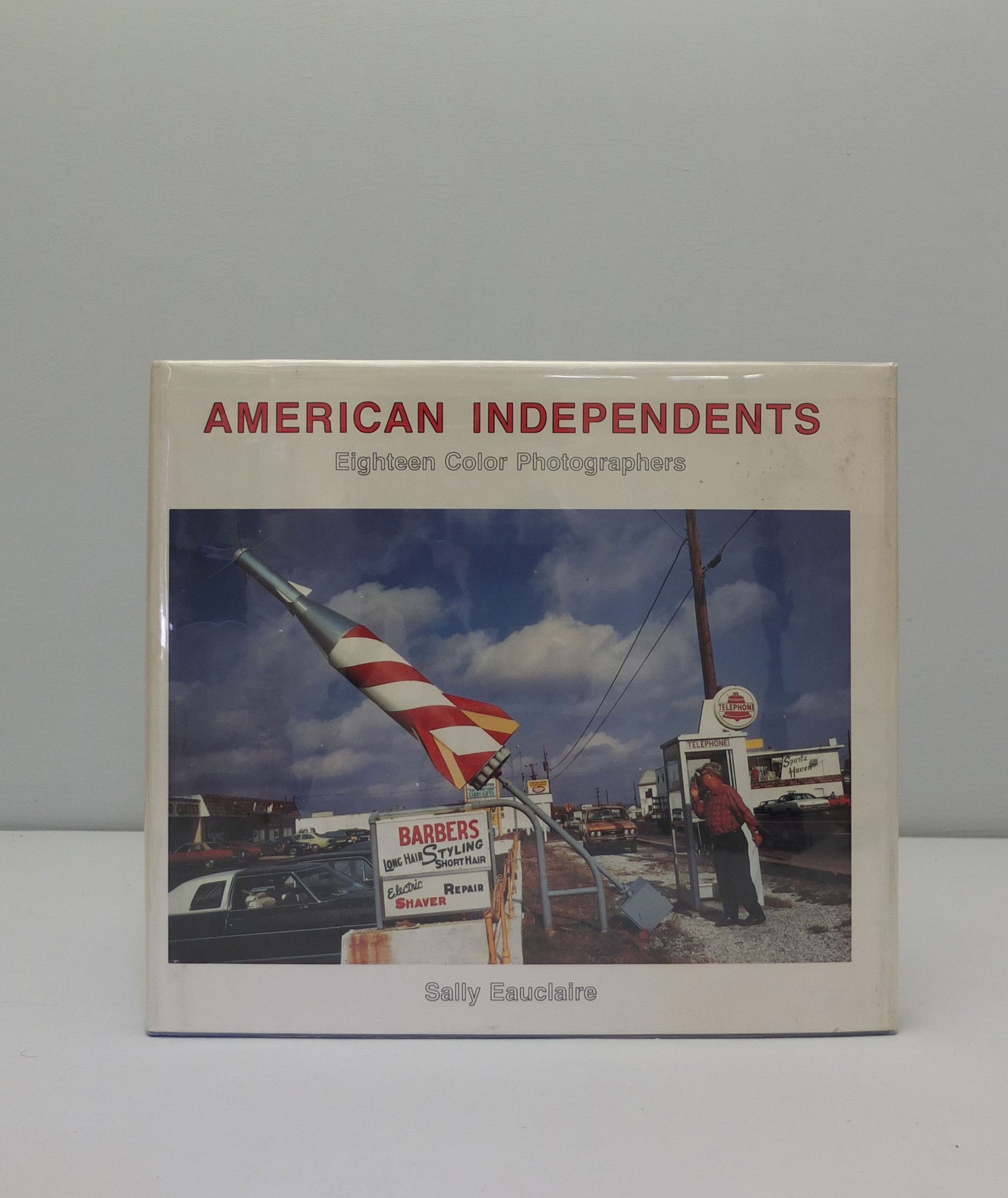 アート・デザイン・音楽 American Independents Sally Eauclaire American_Independents__0003_La