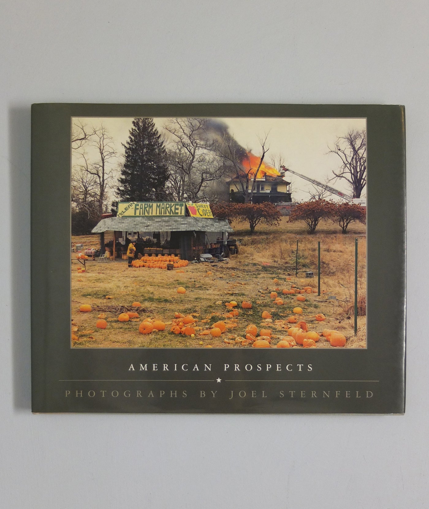 American Prospects by Joel Sternfeld}