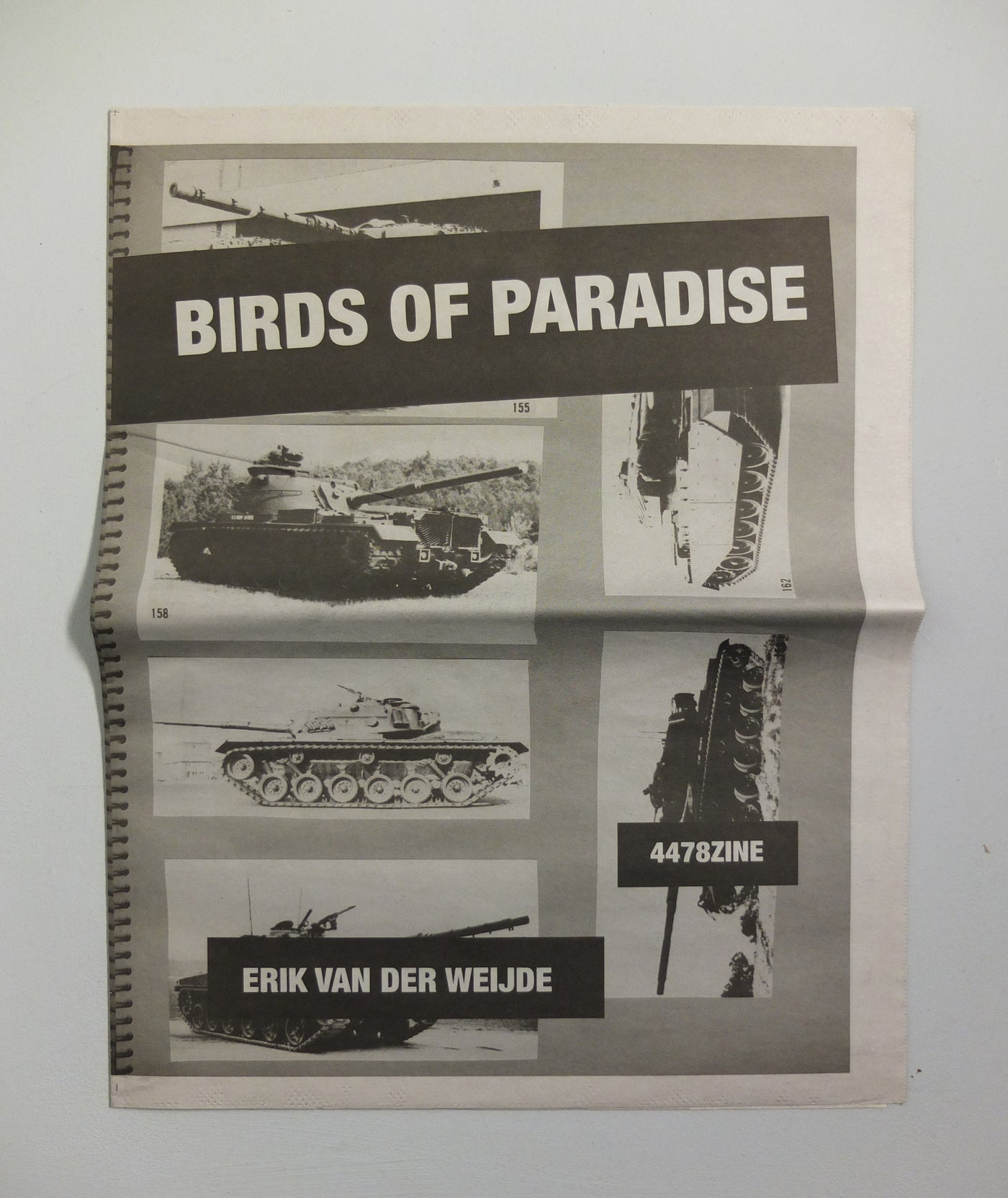 Birds of Paradise by Erik van der Weijde}