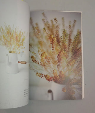 The Encyclopaedia of Dried Flowers}