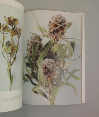 The Encyclopaedia of Dried Flowers}