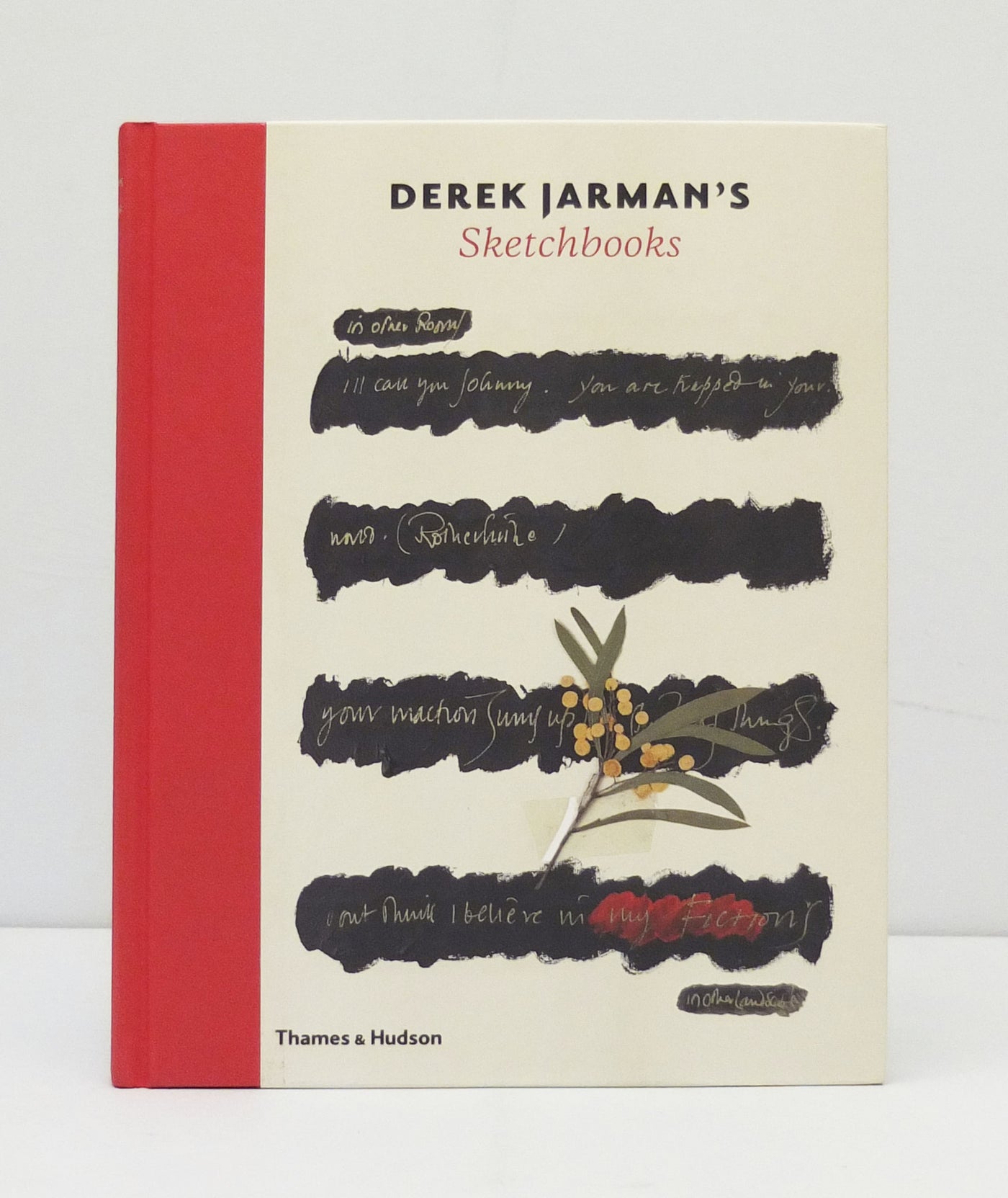 Derek Jarman's Sketchbooks}