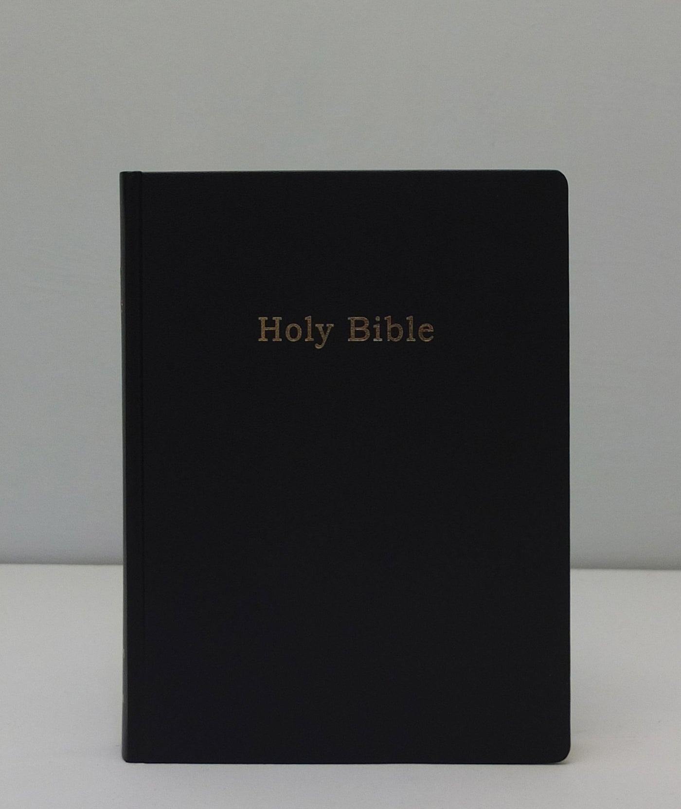Holy Bible by Adam Broomberg & Oliver Chanarin}