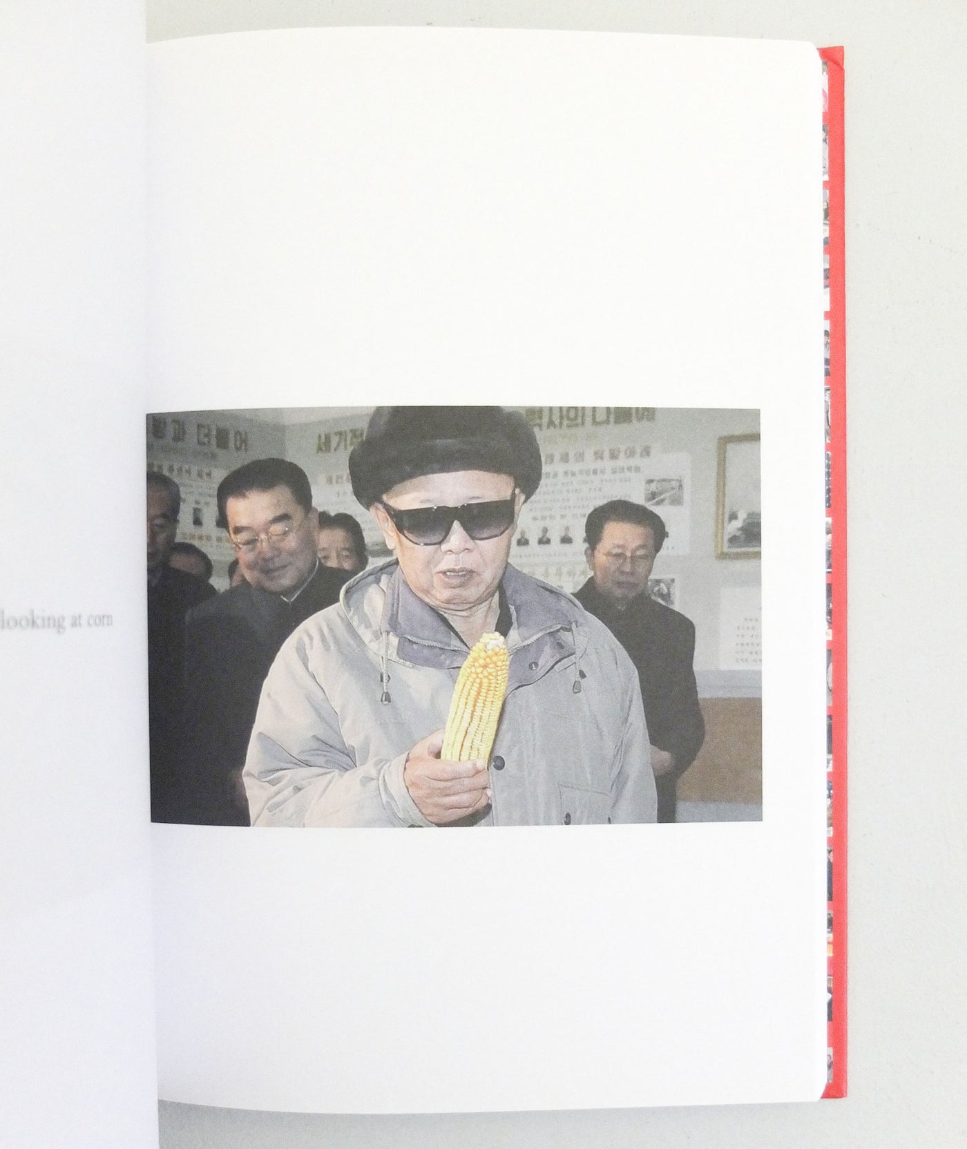 Kim Jong Il Looking at Things by  João Rocha & Marco Bohr}