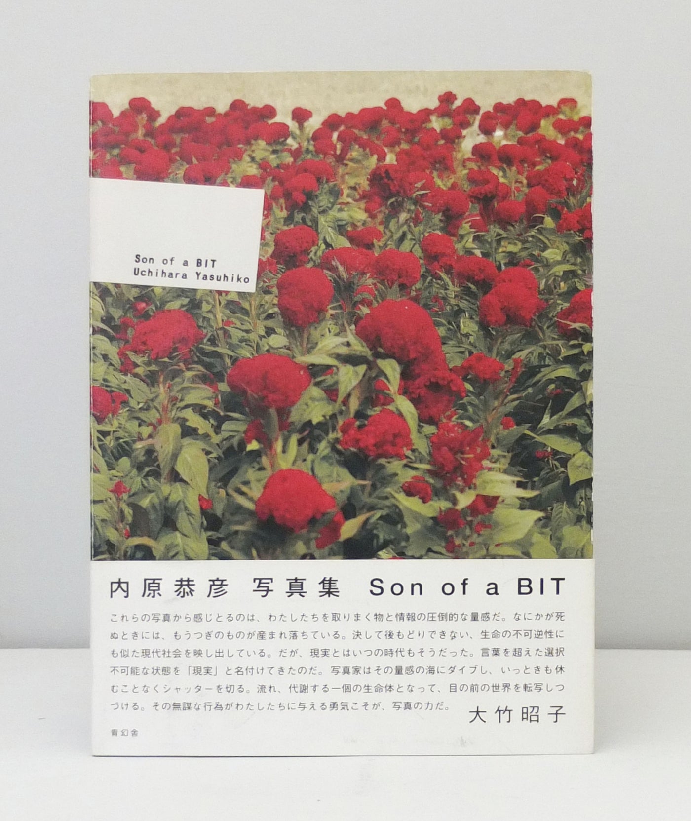 Son of a BIT by Uchihara Yasuhiko}