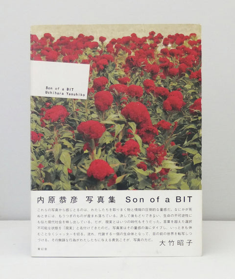 Son of a BIT by Uchihara Yasuhiko