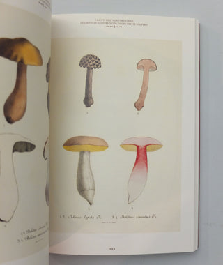 Mushroom Botanical Art by Ouvrage Collectif}