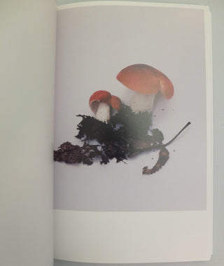 Mushrooms from the Forest by Takashi Homma (OOP)}