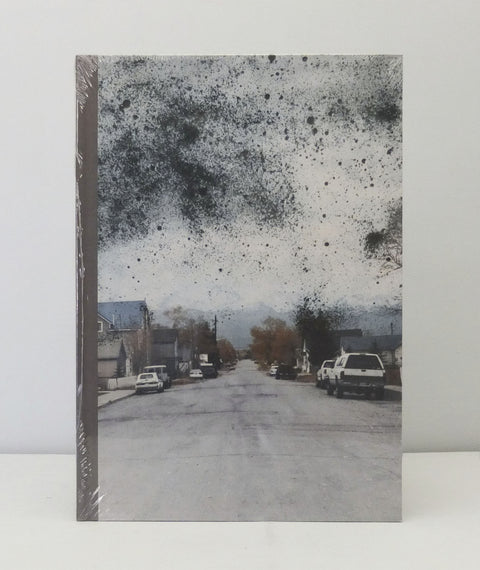 The Great Unreal by Nico Krebs and Taiyo Onorato