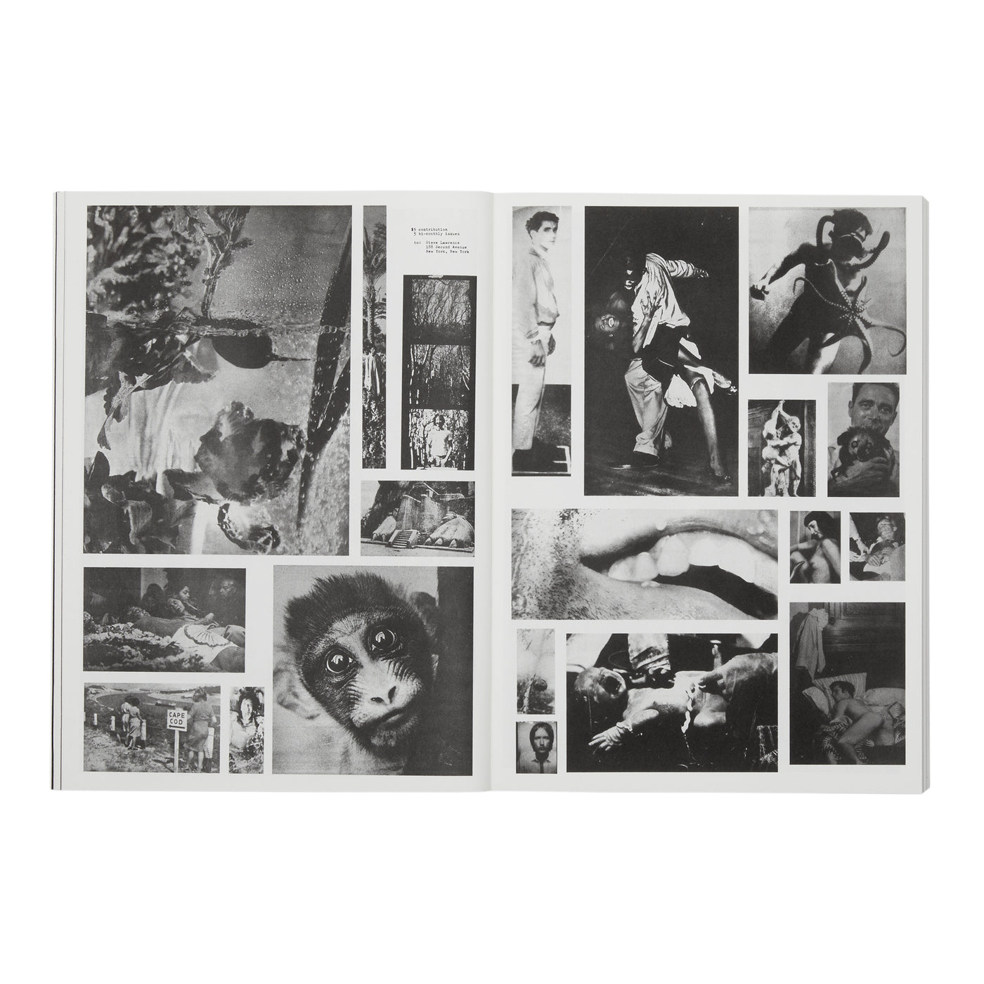 Newspaper - Various Artists edited by Peter Hujar and Andrew Ullrick}