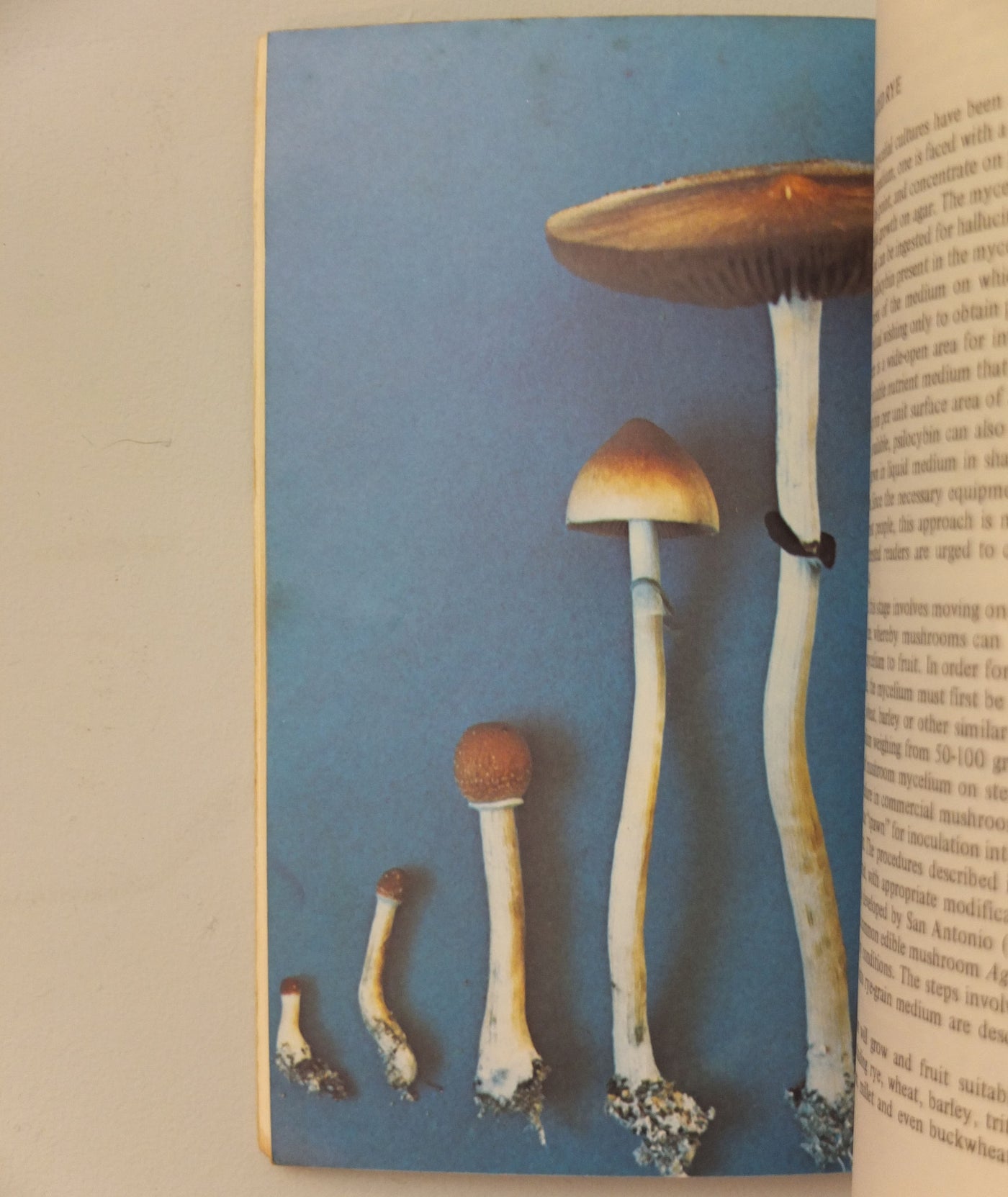 Psilocybin: Magic Mushroom Grower’s Guide by O.T. Oss & O.N. Oeric}
