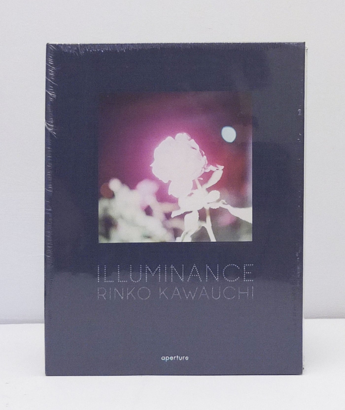 Illuminance by Rinko Kawauchi}