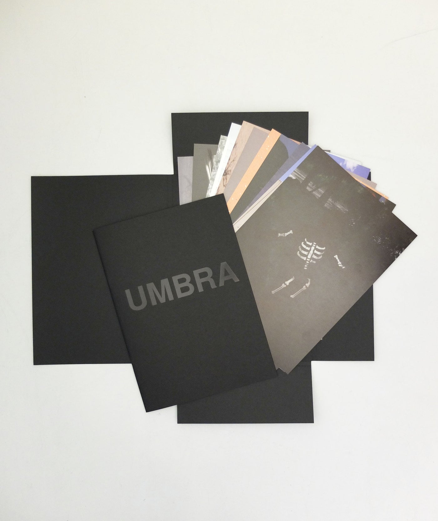 Viviane Sassen: Umbra - Bookshop Anzenberger Gallery