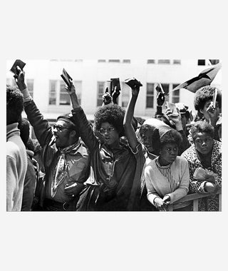Black Power Black Panthers 1969: Janine Wiedel}