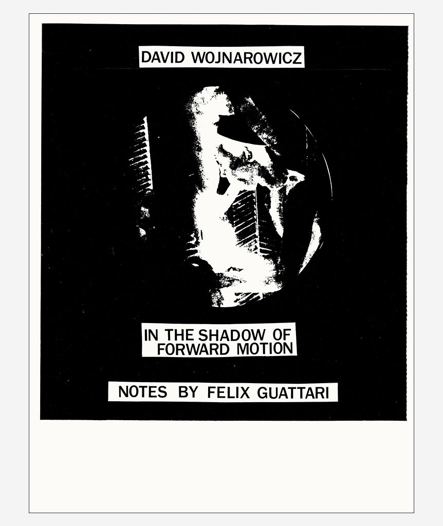 In the Shadow of Forward Motion by David Wojnarowicz}