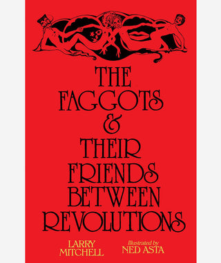 The Faggots & Their Friends Between Revolutions by Larry Mitchell}