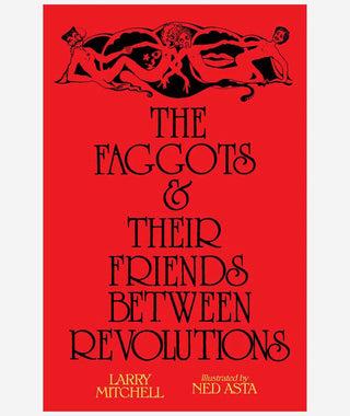 The Faggots & Their Friends Between Revolutions by Larry Mitchell}