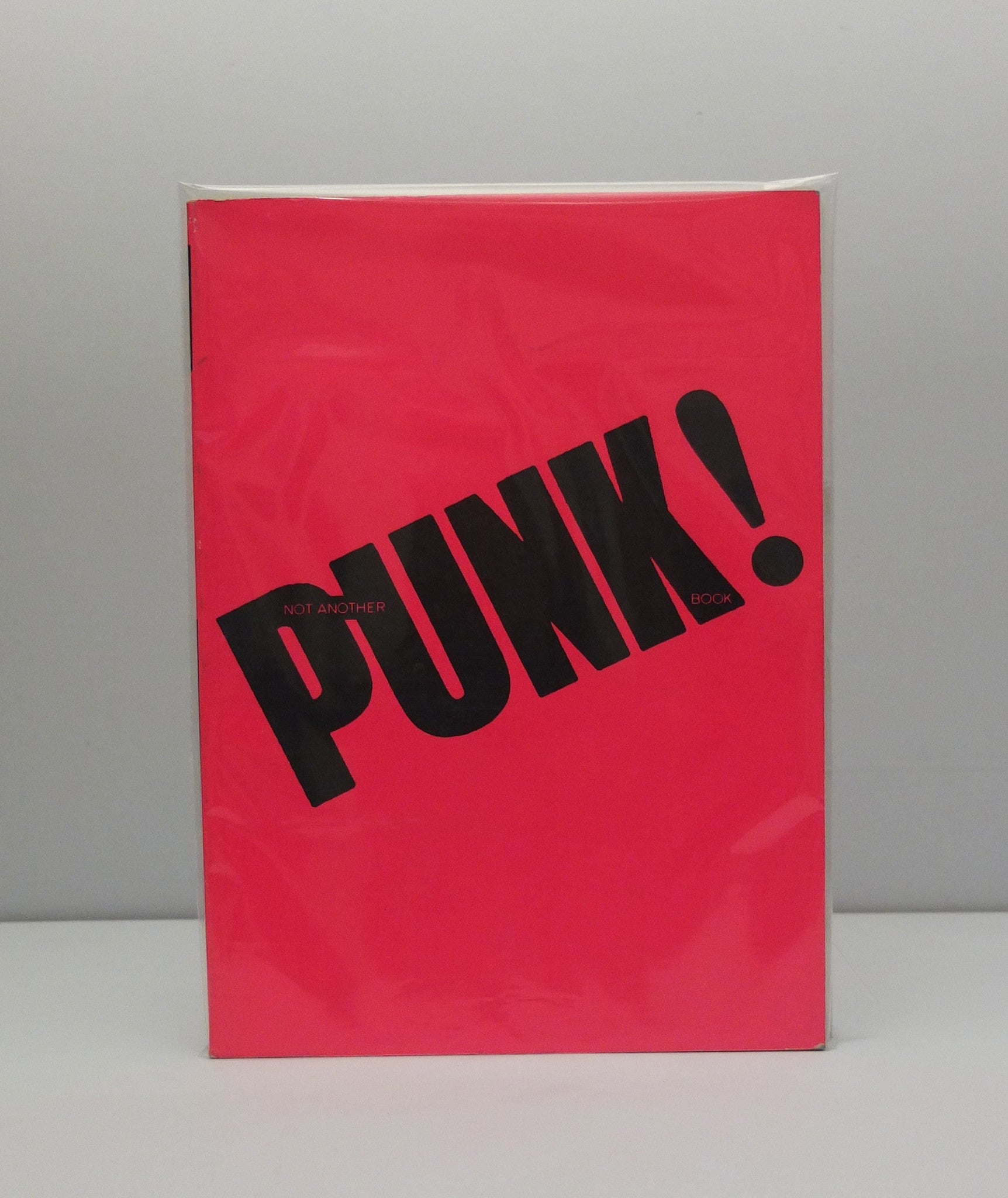 NOT ANOTHER PUNK BOOK