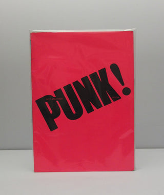 Not Another Punk Book by Terry Jones & Isabelle Anscombe}