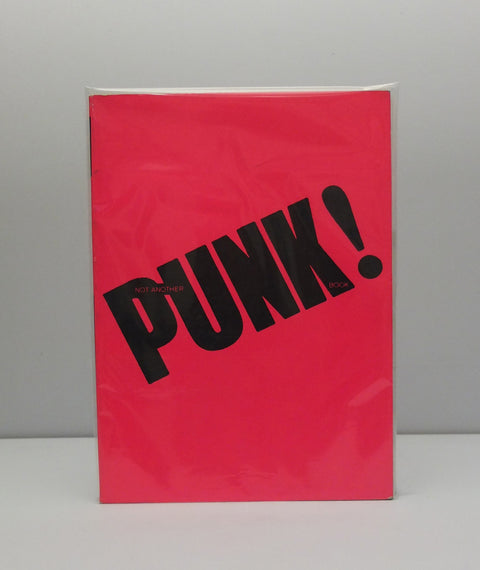 Not Another Punk Book by Terry Jones & Isabelle Anscombe