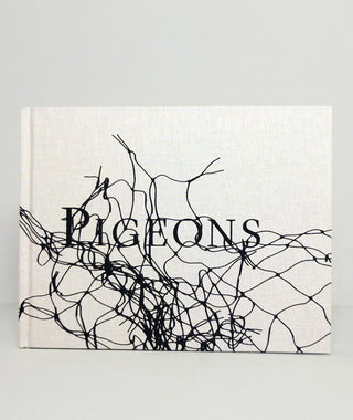 Pigeons by Stephen Gill}