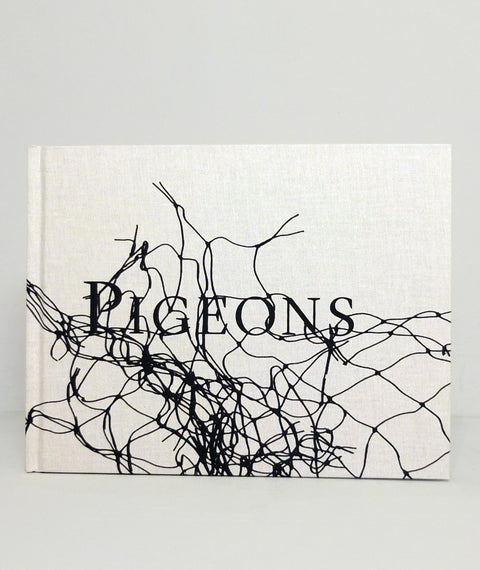 Pigeons by Stephen Gill