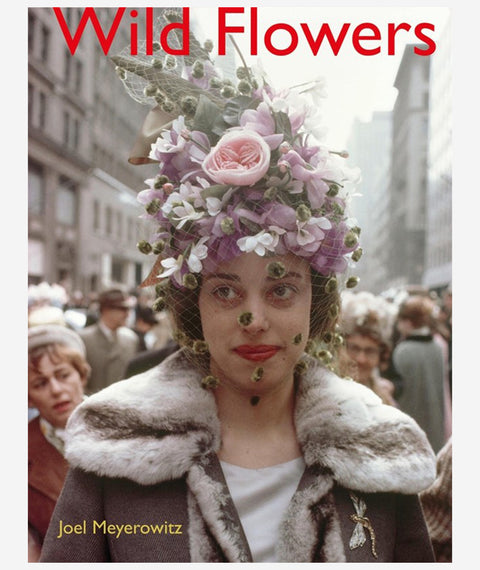 Wild Flowers by Joel Meyerowitz