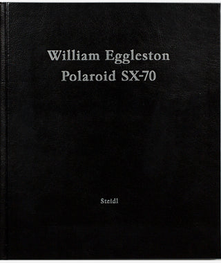 Polaroid SX-70 by William Eggleston}